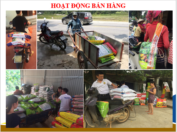 Phân bón NPK An Hưng